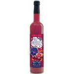 Elixir Magic pentru copii concentrat cu zmeura bio 500 ml Retter