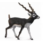 Figurina pictată manual Antilopa Blackbuck