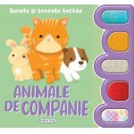 Sunete și senzatii tactile Animale de companie