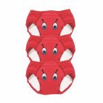 Set de 3 chilotei de antrenament la olita My Little Training Pants 2-3 ani Gargarita