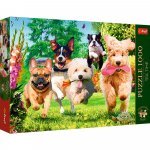 Puzzle 1000 piese Trefl Premium Plus tea time Vin problemele